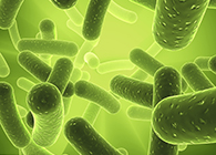 米乐YY易游将加入2013年欧洲生物春季展会