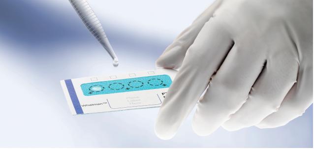 甲磺酸伊马替尼片的临床前药代动力学研究申报资料顺遂通过江苏省食物药品监视管理局的现场核查