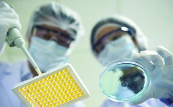 海内外药企纷纷转战仿制药市场