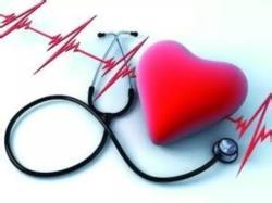 yy易游(中国)体育-米乐官方网站