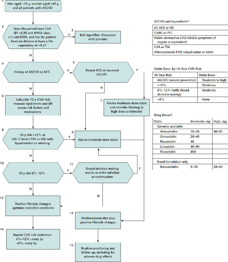 yy易游(中国)体育-米乐官方网站