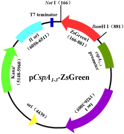 yy易游(中国)体育-米乐官方网站