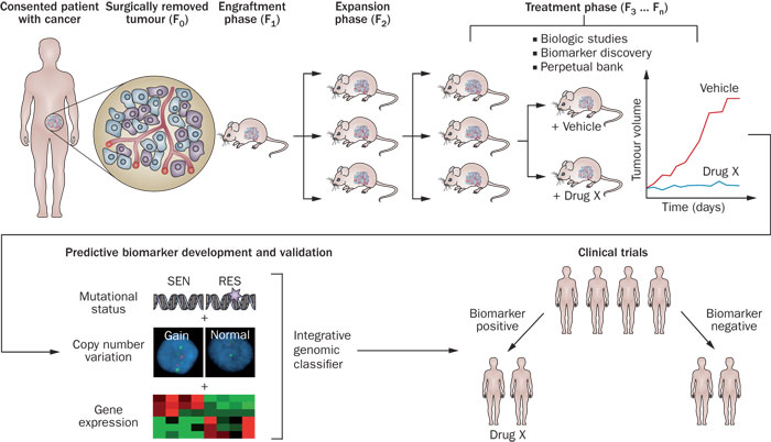 yy易游(中国)体育-米乐官方网站