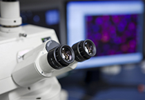 改委监控三类药价，，，，，，，本钱价视察将启动