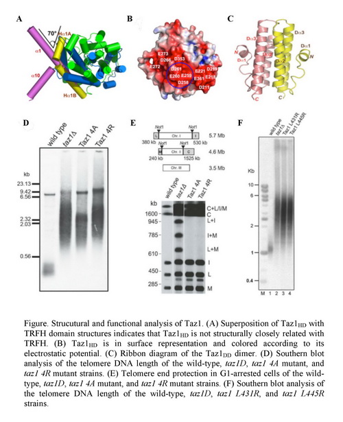 yy易游(中国)体育-米乐官方网站