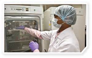 10月17日，，，，，，陈春麟博士将加入2012岛津全球制药峰会