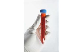 yy易游(中国)体育-米乐官方网站