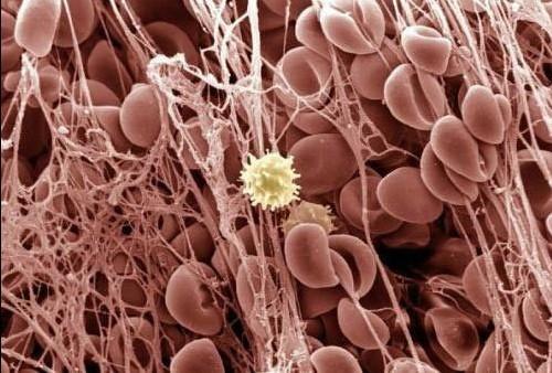 yy易游(中国)体育-米乐官方网站