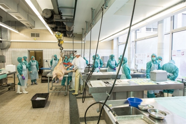 米乐YY易游药物靶点筛选服务