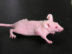 yy易游(中国)体育-米乐官方网站