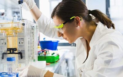 yy易游(中国)体育-米乐官方网站