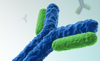 卵白质疏散纯化手艺服务公司