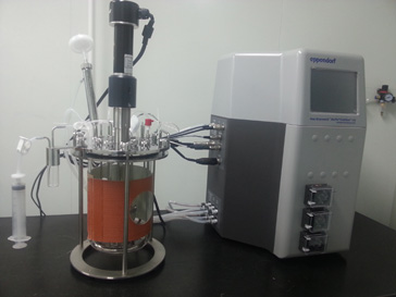 米乐YY易游的生物药（抗体）实验室即将投入使用