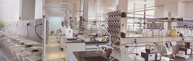 yy易游(中国)体育-米乐官方网站