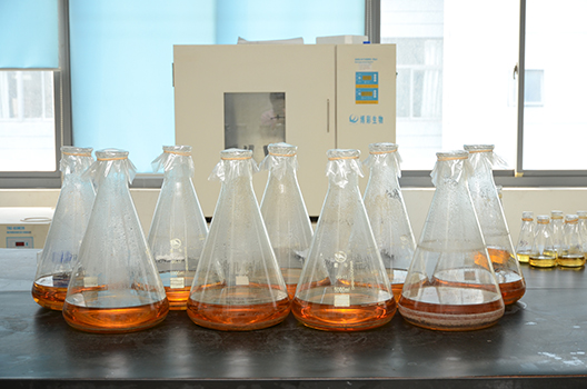 米乐YY易游制剂中心GMP中试车间完工