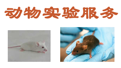 米乐YY易游动物实验外包服务