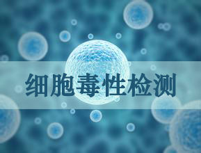 米乐YY易游细胞毒性实验服务