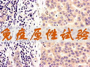 米乐YY易游免疫原性试验服务