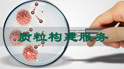 米乐YY易游质粒构建服务