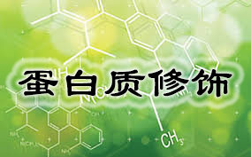 yy易游(中国)体育-米乐官方网站