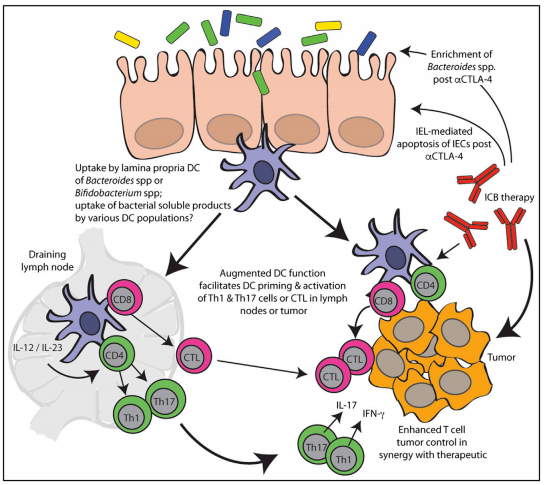 yy易游(中国)体育-米乐官方网站