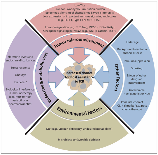 yy易游(中国)体育-米乐官方网站