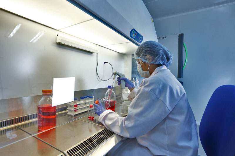 yy易游(中国)体育-米乐官方网站