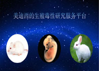米乐YY易游的生殖毒性研究服务平台