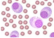 yy易游(中国)体育-米乐官方网站