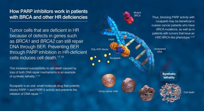 yy易游(中国)体育-米乐官方网站
