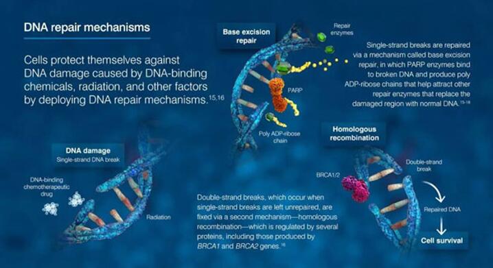 yy易游(中国)体育-米乐官方网站