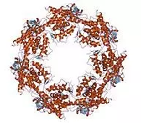 yy易游(中国)体育-米乐官方网站