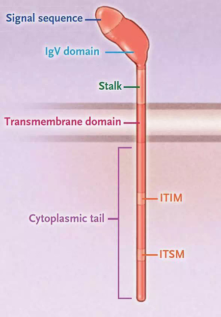 yy易游(中国)体育-米乐官方网站