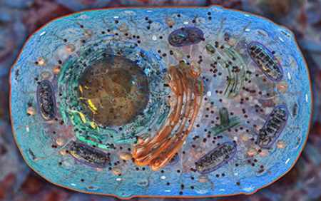 yy易游(中国)体育-米乐官方网站