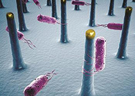 未来的药丸里，，，，，，可能有一万亿小我私家工刷新的细菌？？？？？？