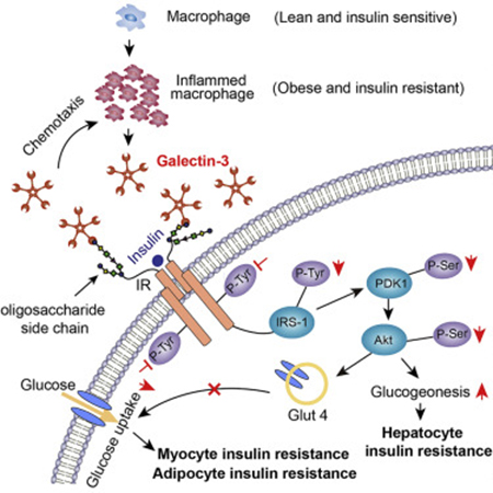 yy易游(中国)体育-米乐官方网站
