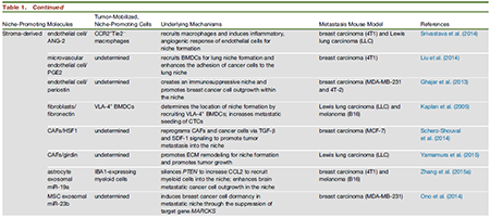 yy易游(中国)体育-米乐官方网站