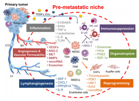 yy易游(中国)体育-米乐官方网站