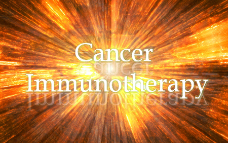 yy易游(中国)体育-米乐官方网站