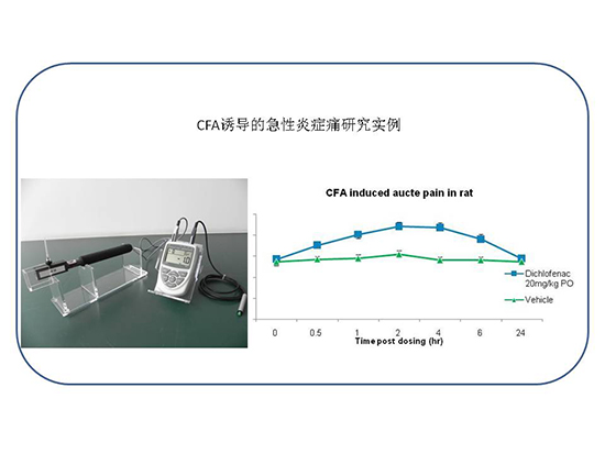 yy易游(中国)体育-米乐官方网站