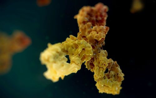 yy易游(中国)体育-米乐官方网站