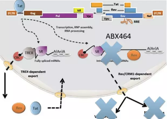 yy易游(中国)体育-米乐官方网站