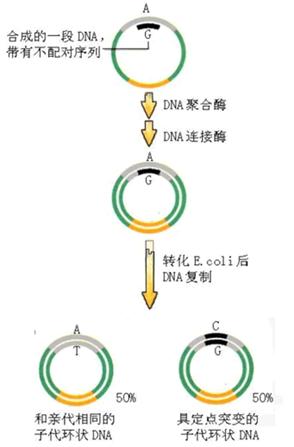 yy易游(中国)体育-米乐官方网站