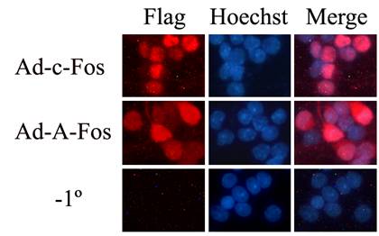 yy易游(中国)体育-米乐官方网站