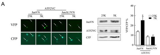 yy易游(中国)体育-米乐官方网站