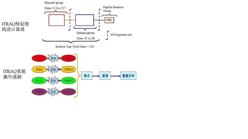 yy易游(中国)体育-米乐官方网站