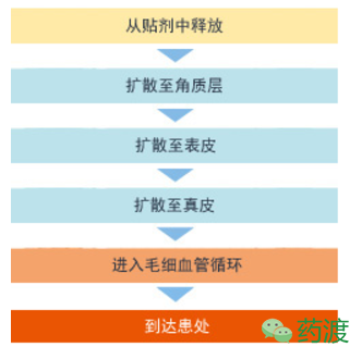 yy易游(中国)体育-米乐官方网站