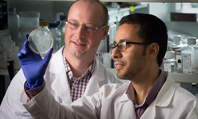 yy易游(中国)体育-米乐官方网站