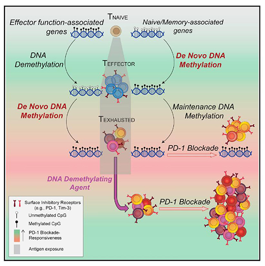 yy易游(中国)体育-米乐官方网站