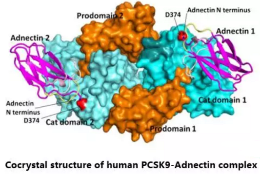 yy易游(中国)体育-米乐官方网站